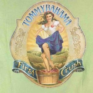 Tommy Bahama Relax Mens Graphic T-Shirt Cotton L